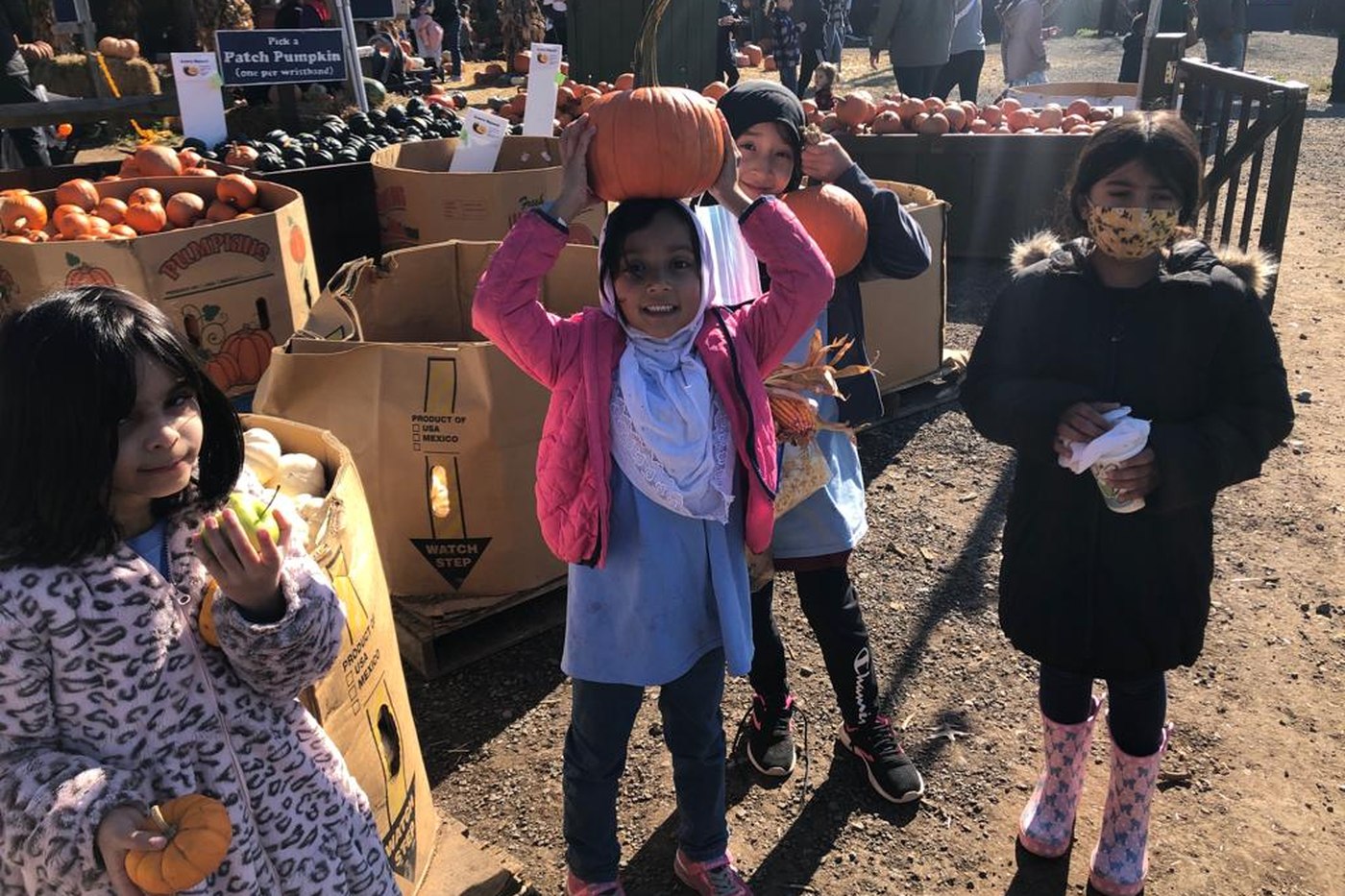 Oceans Academy students holding pumpkins on an autumn field trip